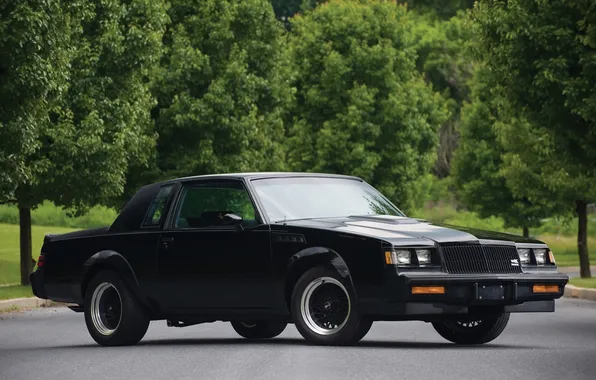 Trees, black, Buick, alley, the front, Buick, 1987, Grand Neyshnl