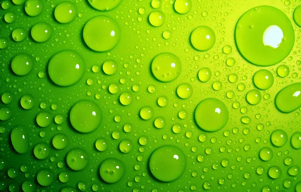 Water, drops, background, green