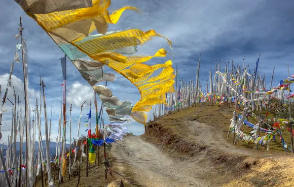 Bhutan, Prayer flags, Chele La Pass