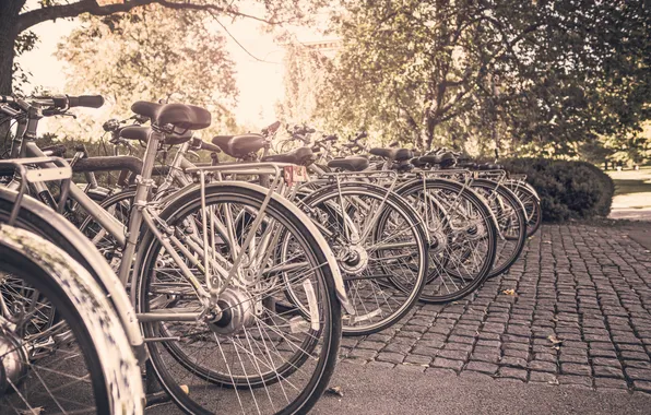 Bike, the city, Park, pavers, wheel, Parking