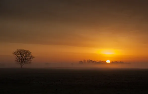 Nature, sunrise, Fenland