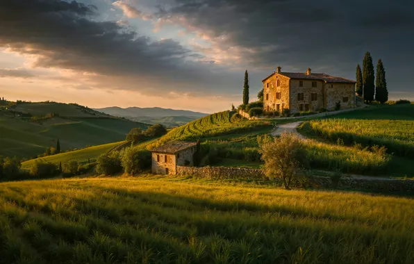 Field, hills, Italy, houses, Tuscany, AI art