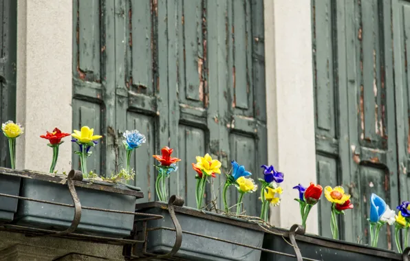 Italy, Venice, shutters, glass flowers, the island of Murano