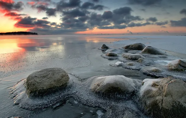 Ice, winter, lake, stones, dawn, morning, frost