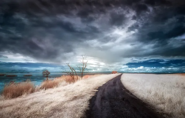 Road, field, the sky