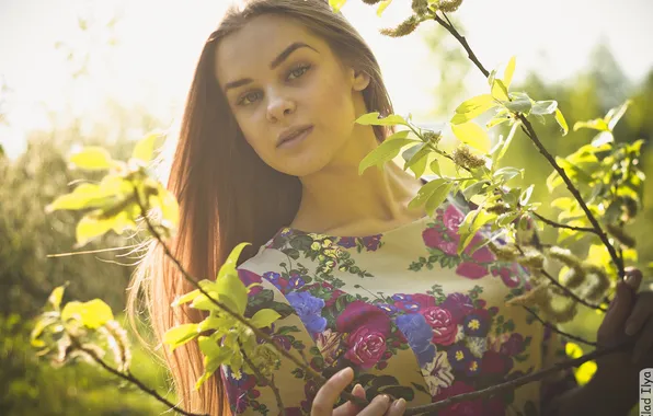 Girl, branches, photographer, girl, photography, photographer, Ilya Klad, Ilya Baggage