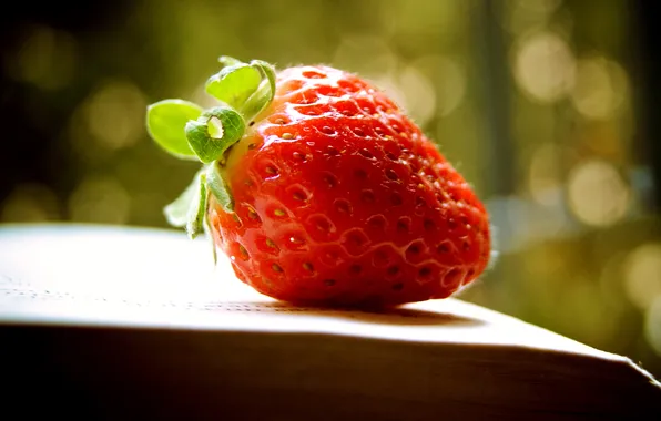Strawberry, berry, book