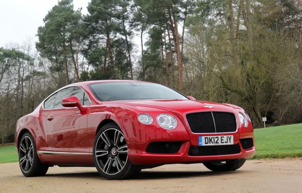 Grass, trees, red, Bentley, red, grass, continental, tree