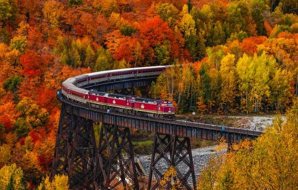 Picture forest, Canada, trees, bridge, autumn, train, Ontario, aqueduct