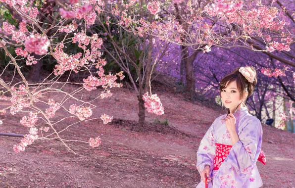 Nature, Girl, Trees, Sakura, Asian, Outfit