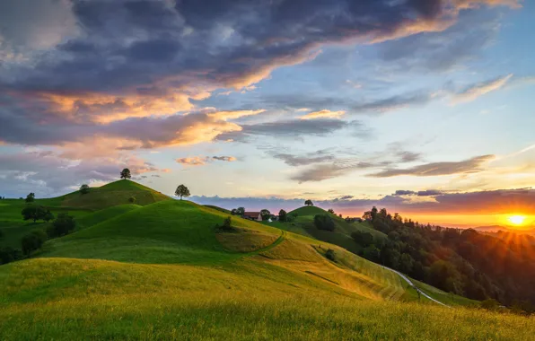 Greens, field, forest, the sky, the sun, clouds, trees, sunset