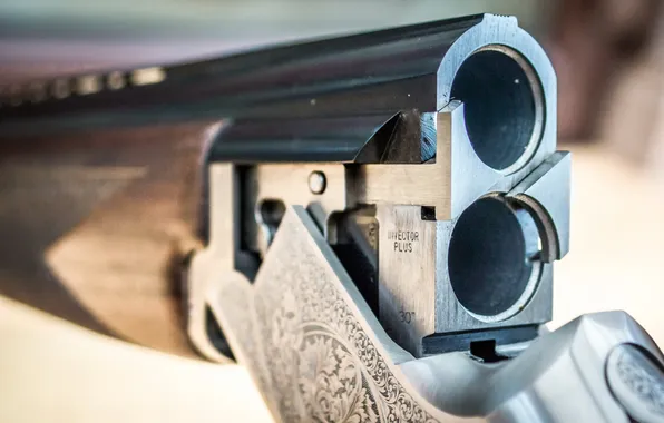 Picture macro, weapons, rifle