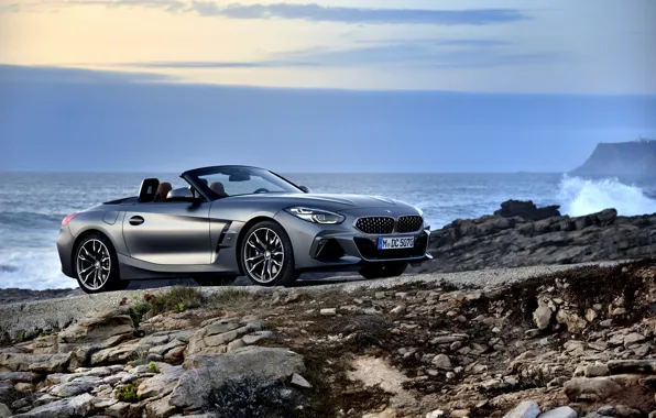 Picture water, grey, shore, BMW, Roadster, BMW Z4, M40i, Z4