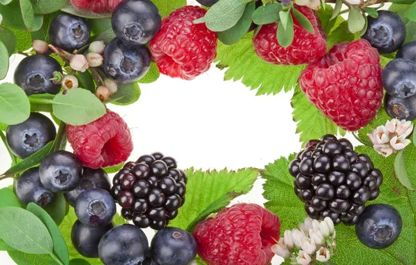 Picture leaves, flowers, berries, raspberry, blueberries, BlackBerry