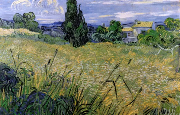 Picture Green, Vincent van Gogh, with Cypress, Wheat Field