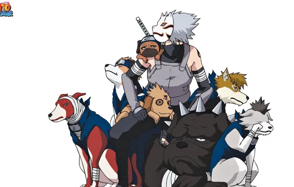 Anbu Kakashi on Dog, kakashi mask HD phone wallpaper