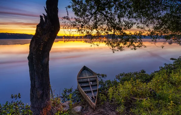 Picture sunset, tree, boat, Portugal, Laguna, Portugal, Pateira de Fermentelos Lagoon, Laguna Pateira de Fermentelos