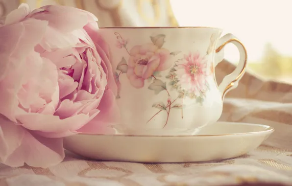 Picture flower, style, Bud, mug, Cup, peony