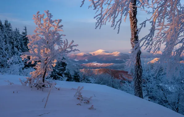 Winter, snow, trees, mountains