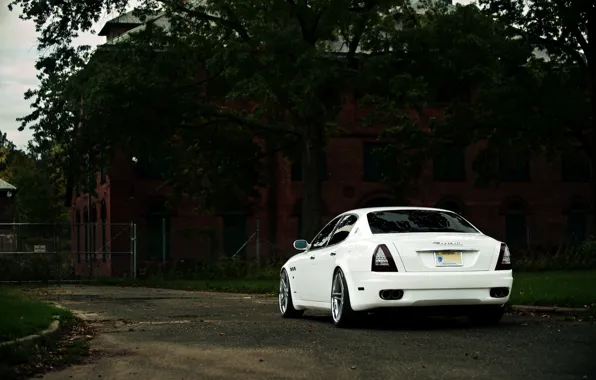 Picture Maserati, Quattroporte, Tree, White, Bumper, The building, The trunk