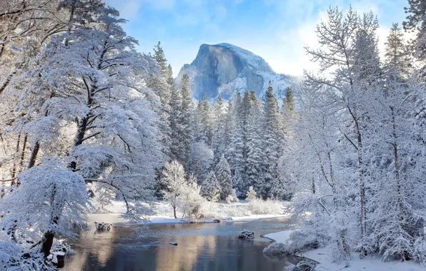 Winter, the sky, snow, trees, mountains, river