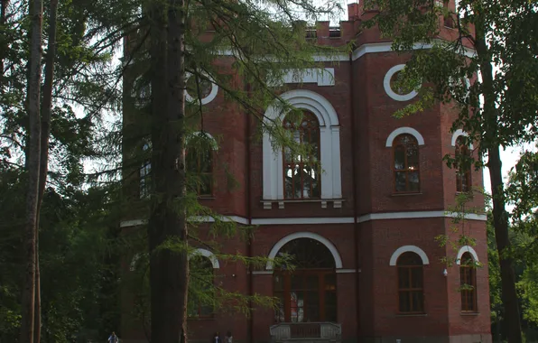 Summer, the sky, trees, the building, Peter, Saint Petersburg, Russia, architecture