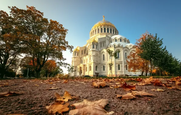 Picture autumn, leaves, trees, landscape, architecture, Kronstadt, St. Nicholas Naval Cathedral