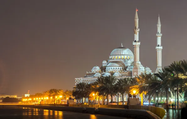 Night, lights, river, palm trees, lights, temple, mosque, Palace