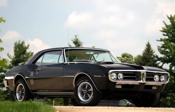 Picture the sky, background, black, coupe, Pontiac, Pontiac, 1967, the front