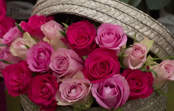 Roses, basket, buds