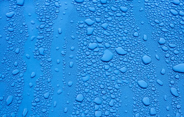 Wet, drops, blue background