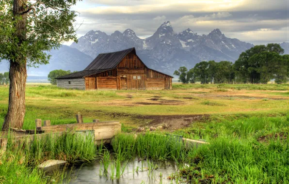 Picture grass, trees, mountains, house, the reeds, stream, valley, USA