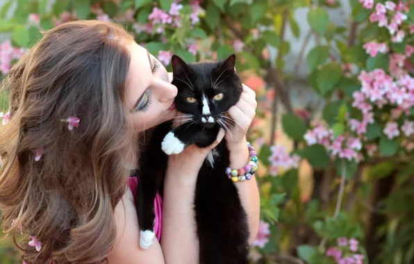 Picture cat, girl, flowers, nature