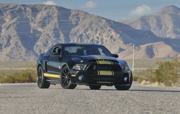 Picture Mustang, Ford, Shelby