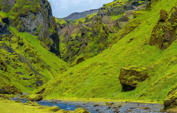 Greens, grass, mountains, stream, stones, rocks, moss, canyon