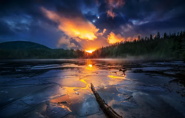 Forest, the sky, sunset, mountains, lake, reflection