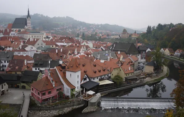 Autumn, trees, nature, city, the city, river, Prague, Czech Republic