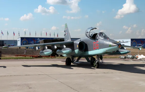 The Russian air force, su-25, Rook