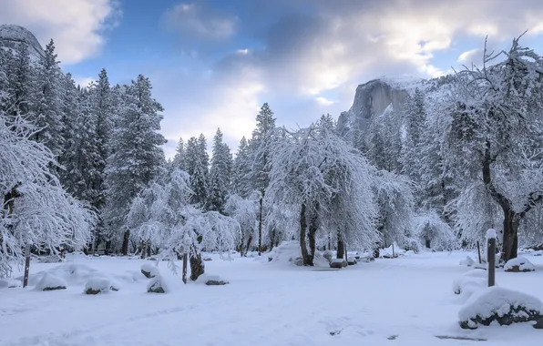 Winter, frost, road, forest, the sky, clouds, snow, trees