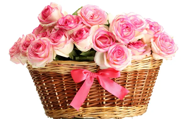 Picture flowers, roses, pink