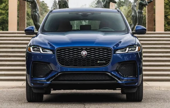 Jaguar, ladder, sculpture, exterior, F-Pace, R-Dynamic, Jaguar F-Pace R-Dynamic