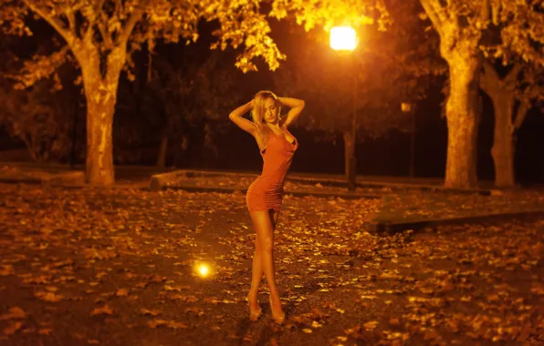 Picture leaves, trees, night, lights, sexy, Park, model, figure