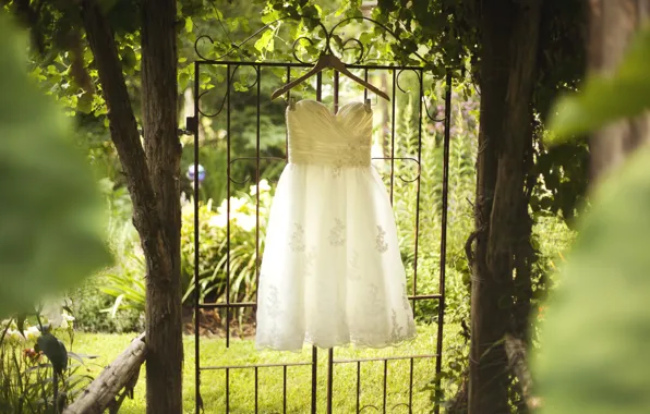 Trees, white, dress, wedding
