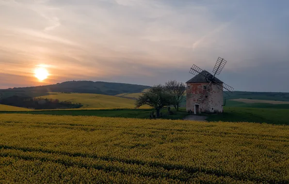 Sunset, beauty, the evening, horizon, mill, Moravia, Shimakovsky Yuri