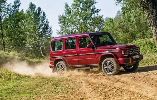 Picture Mercedes-Benz, Mercedes, AMG, AMG, W463, 2015, G 63