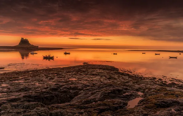 Picture sea, sunset, boats