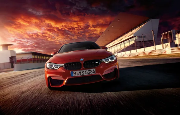 Picture face, BMW, coupe, BMW, Coupe, F82