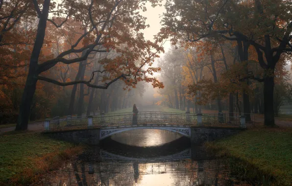 Autumn, girl, trees, bridge, Park, reflection, river, Gordeev Edward