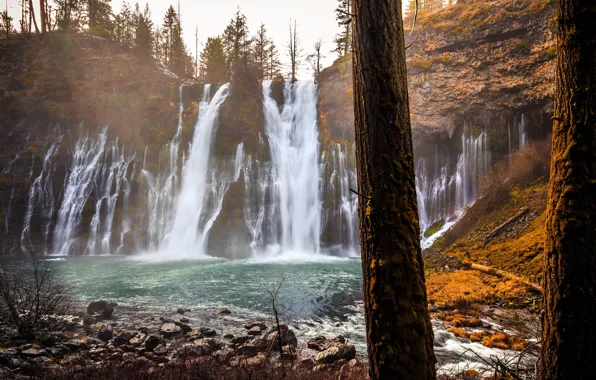 Forest, water, trees, rock, Park, stones, waterfall, CA