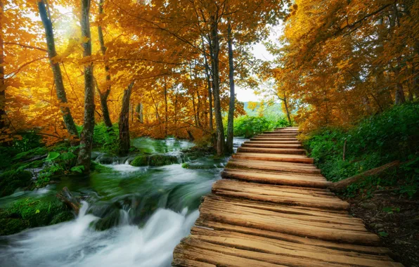Picture forest, landscape, nature, lake, the bridge, Croatia, Plitvice